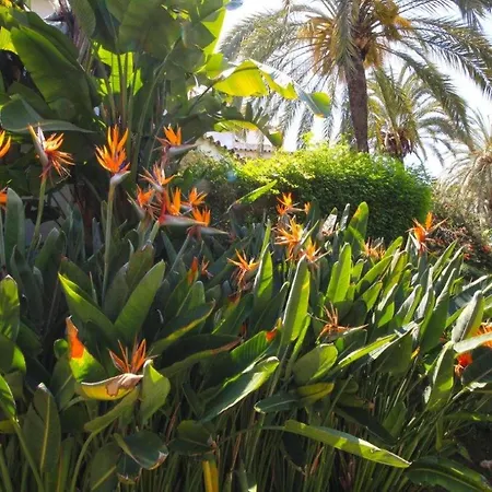 Апартаменты Coastal Getaway With Pool