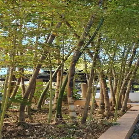 Coastal Getaway With Pool