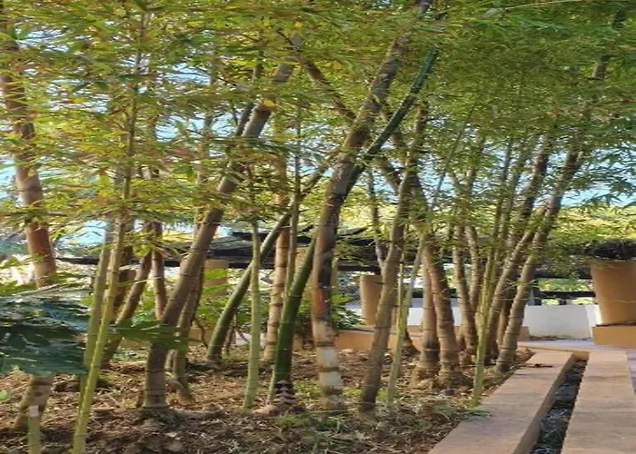 Coastal Getaway With Pool